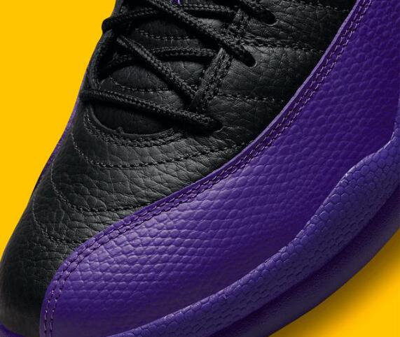 Cheap Air Jordan 12 Field Purple Men’s for sale